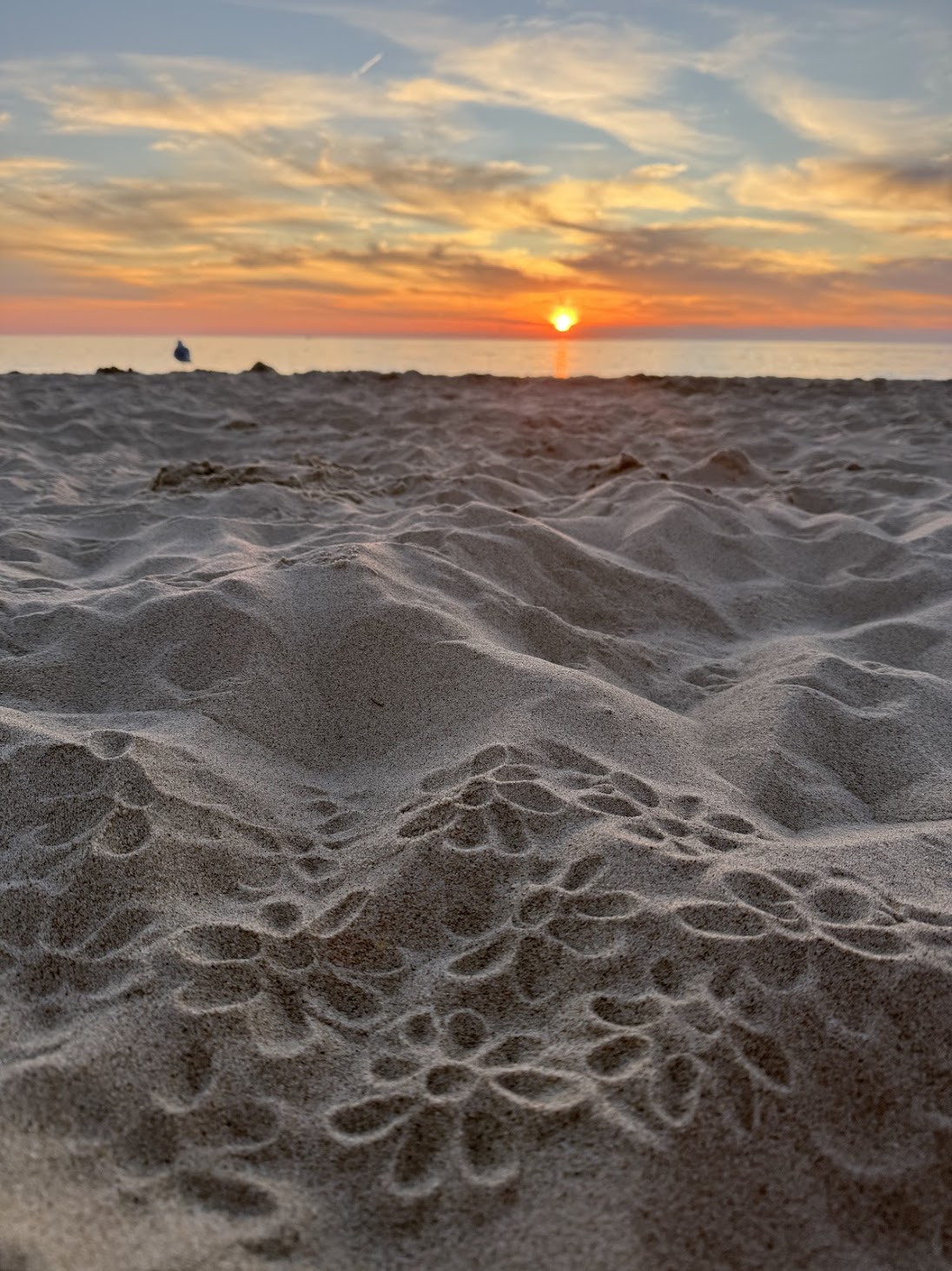 Summer Events In West Michigan 2026 - The Local Element West Michigan